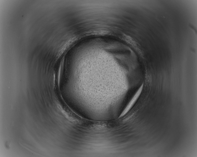 X0000103240110200809111606