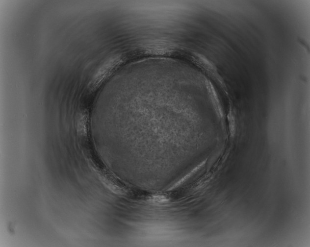 X0000103240114200809111606