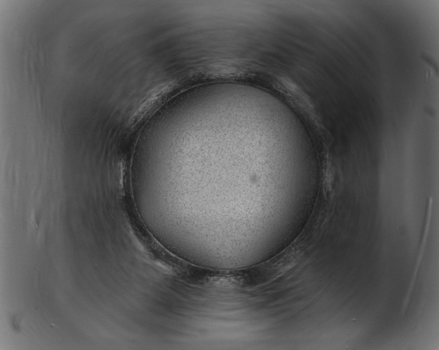 X0000103240115200809111606