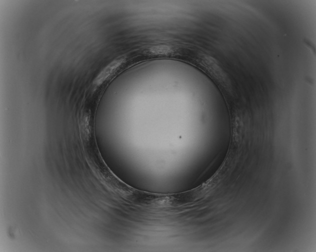 X0000103240116200809111606