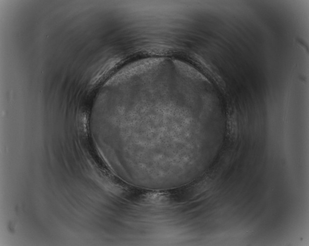 X0000103240117200809111606