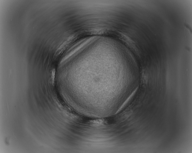 X0000103240118200809111606