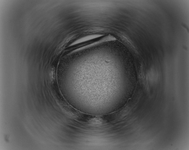 X0000103240119200809111606