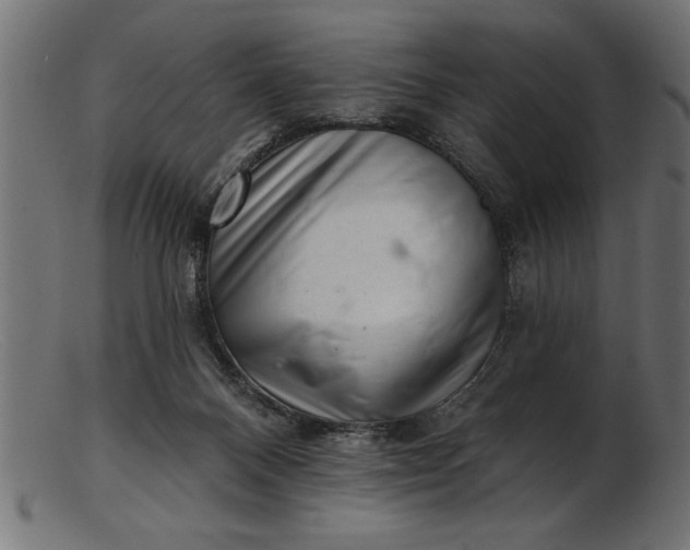 X0000103240120200809111606