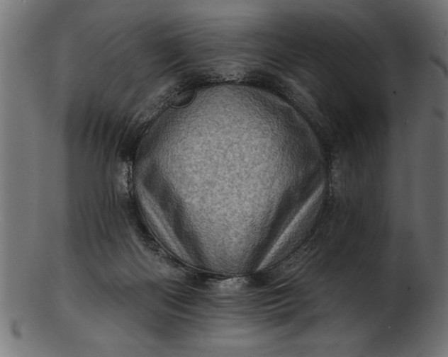 X0000103240122200809111606