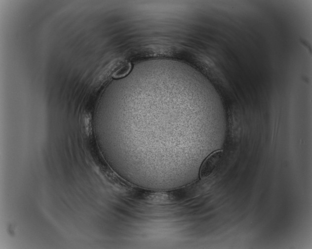 X0000103240123200809111606