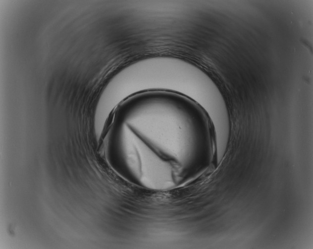 X0000103240124200809111606