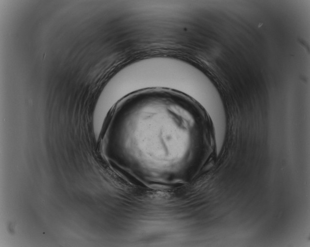 X0000103240125200809111606