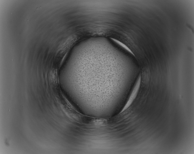 X0000103240126200809111606