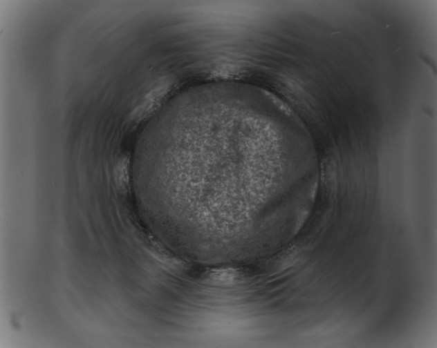 X0000103240127200809111606