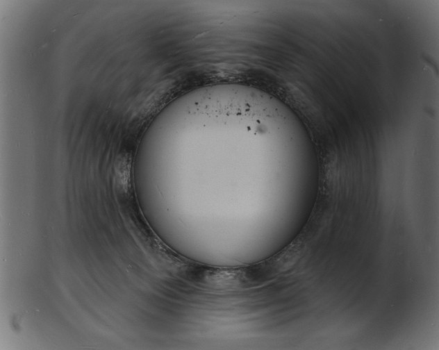 X0000103240129200809111606