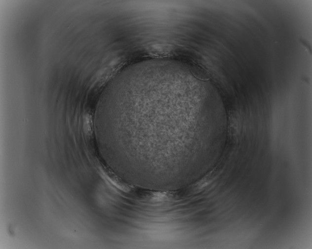 X0000103240130200809111606