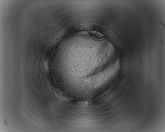 X0000103240131200809111606