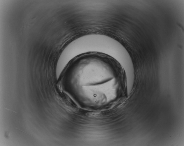 X0000103240132200809111606