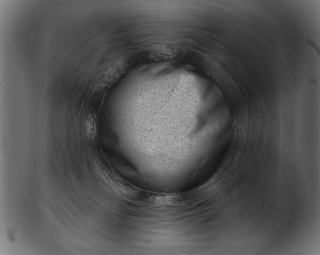 X0000103240134200809111605