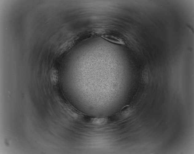 X0000103240135200809111605