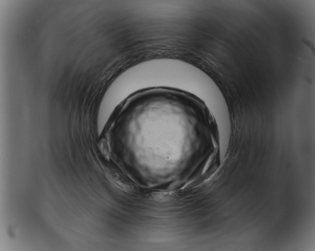 X0000103240136200809111605