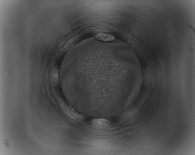 X0000103240137200809111605