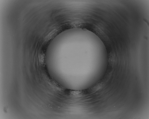 X0000103240139200809111605