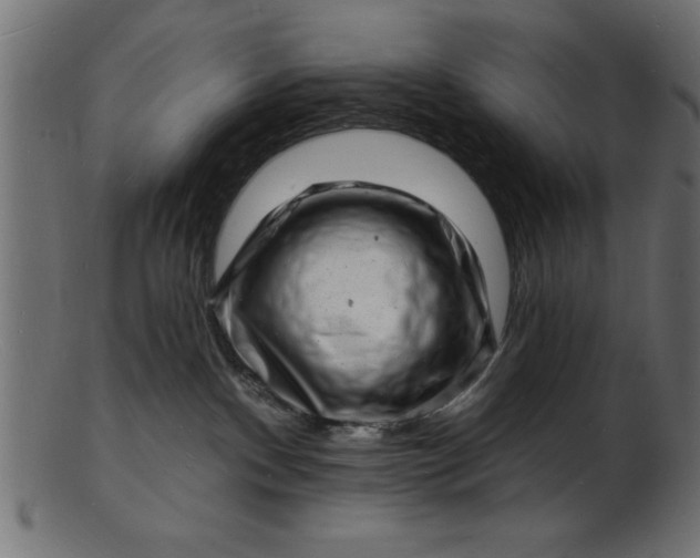 X0000103240140200809111605