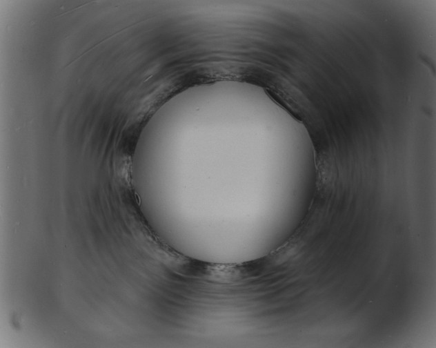 X0000103240141200809111605