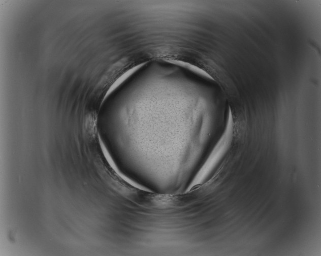 X0000103240142200809111605