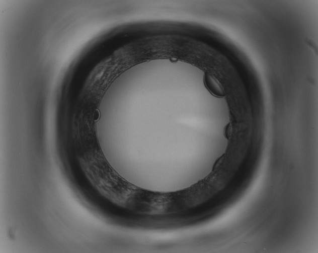 X0000103240143200809111605