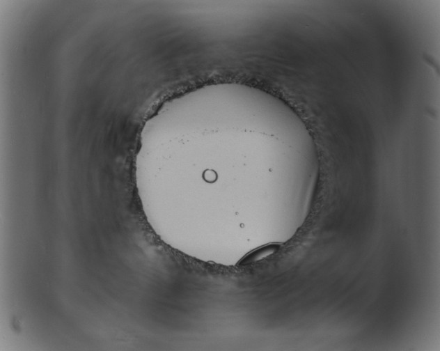 X0000103240144200809111605