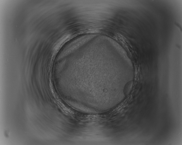 X0000103240145200809111605