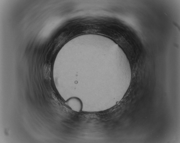 X0000103240146200809111605