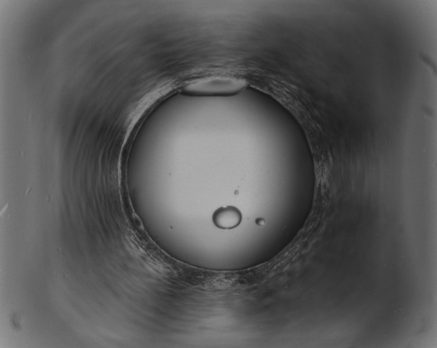 X0000103240148200809111605