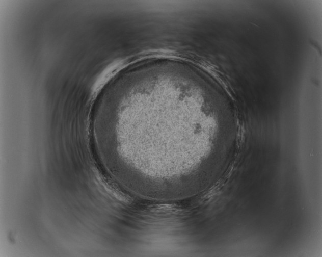 X0000103240151200809111605