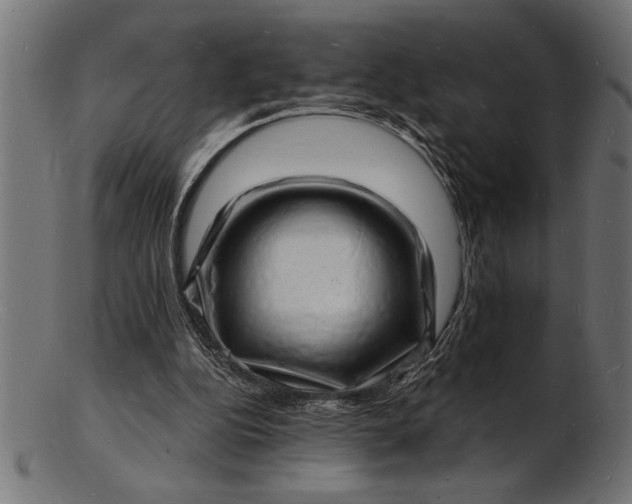 X0000103240152200809111605