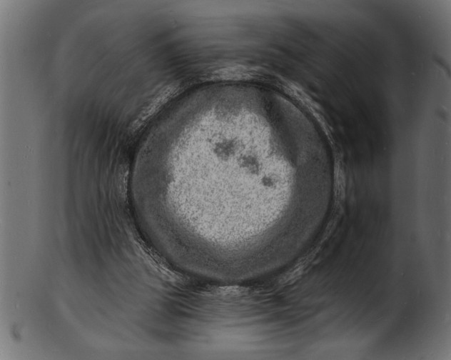 X0000103240153200809111605