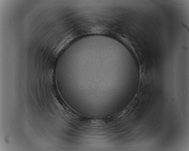 X0000103240154200809111605