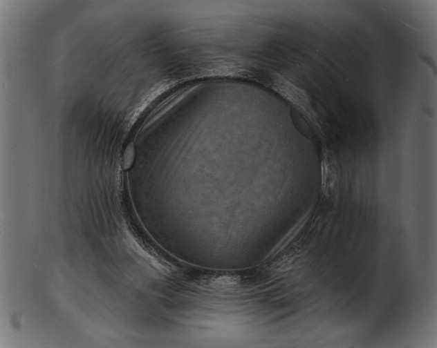 X0000103240156200809111605