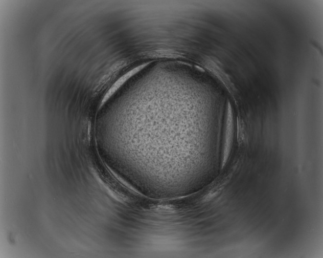 X0000103240157200809111605