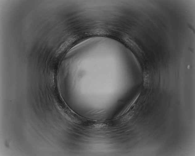 X0000103240158200809111605