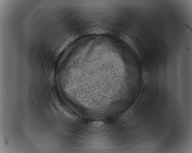 X0000103240159200809111605