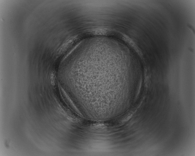 X0000103240161200809111605