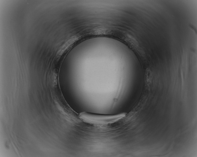 X0000103240164200809111605