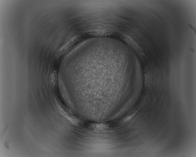 X0000103240165200809111605