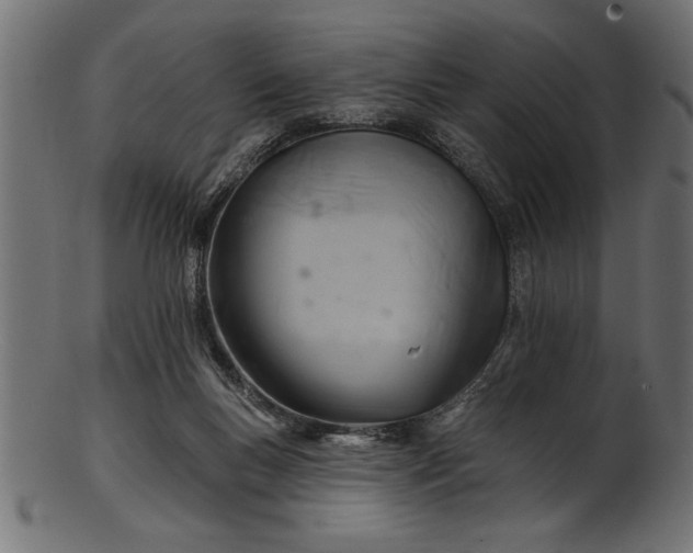 X0000103240167200809111605