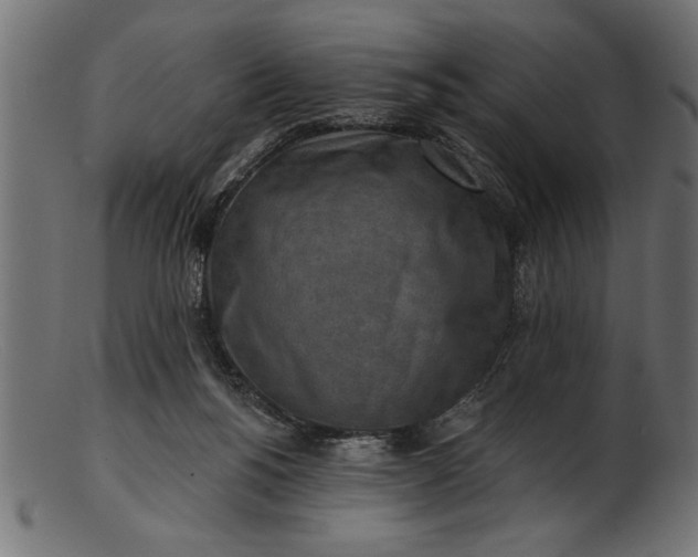 X0000103240168200809111605