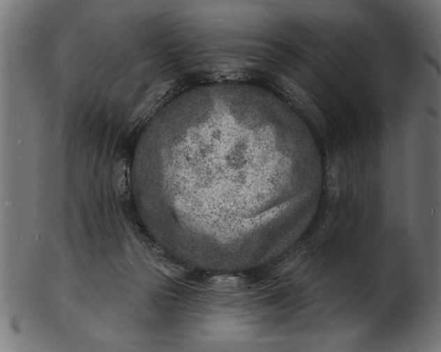 X0000103240169200809111605