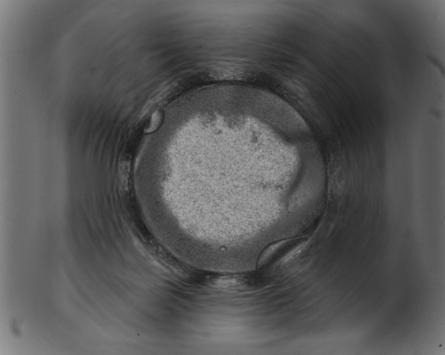 X0000103240171200809111605