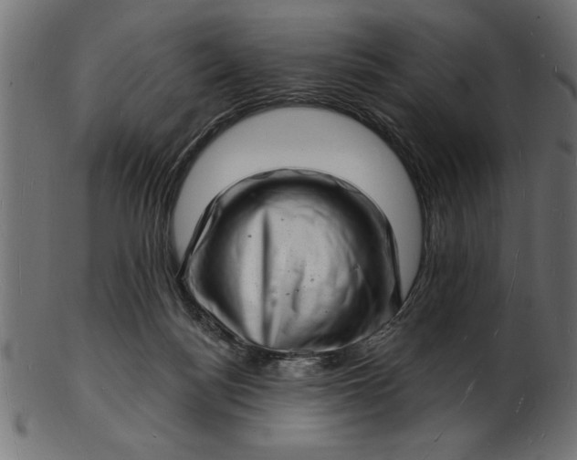 X0000103240172200809111605