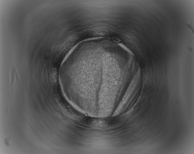 X0000103240174200809111605