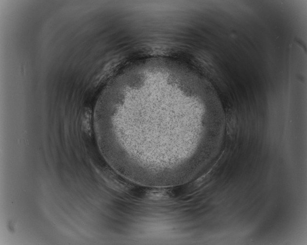 X0000103240175200809111605