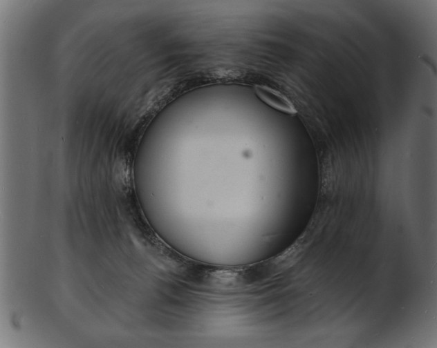 X0000103240176200809111605